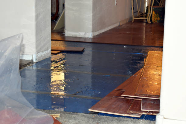 Professional Basement Flood Cleanup technician working in Mansfield, WA
